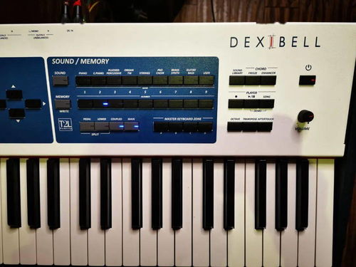 Dexibell S9對(duì)比雅馬哈機(jī)械鋼琴與工作站 選琴如品酒，硬件零售新視角